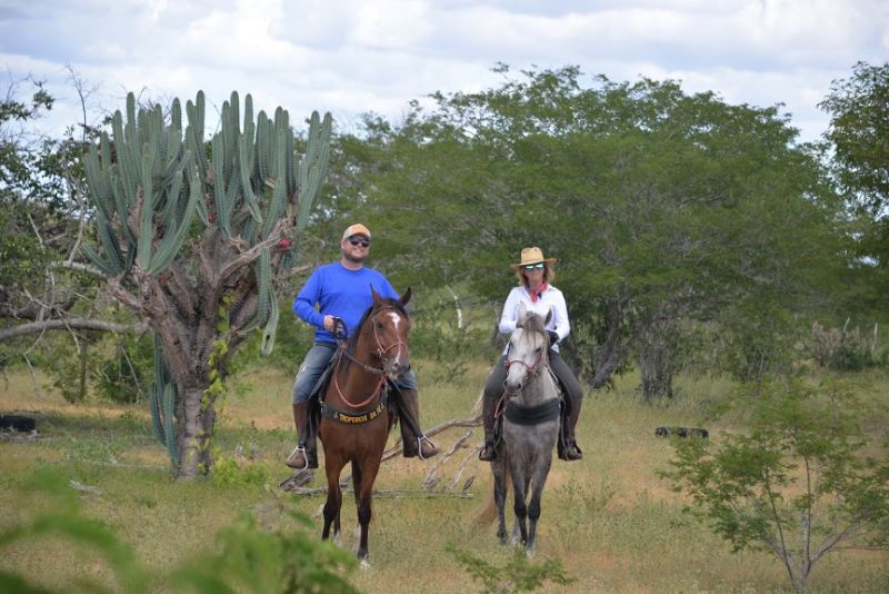 L'outback brésilien dans le nord-est