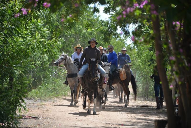 L'outback brésilien dans le nord-est