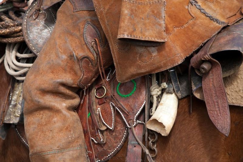 L'outback brésilien dans le nord-est