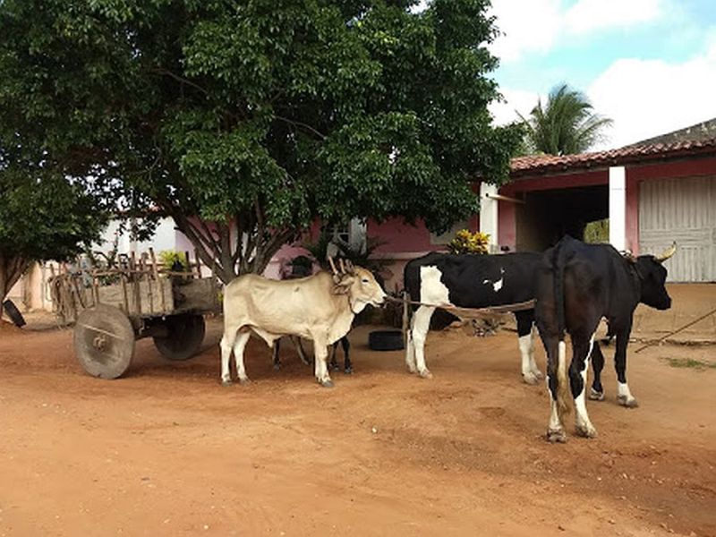 L'outback brésilien dans le nord-est