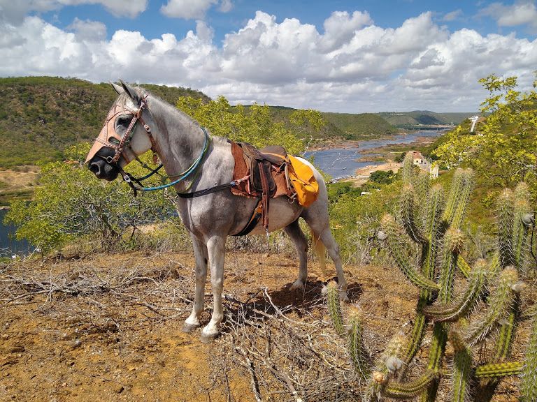 L'outback brésilien dans le nord-est