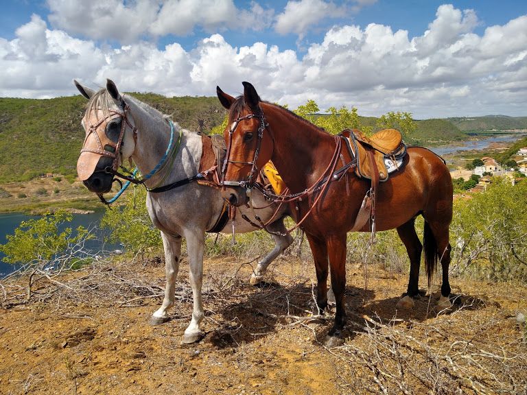L'outback brésilien dans le nord-est