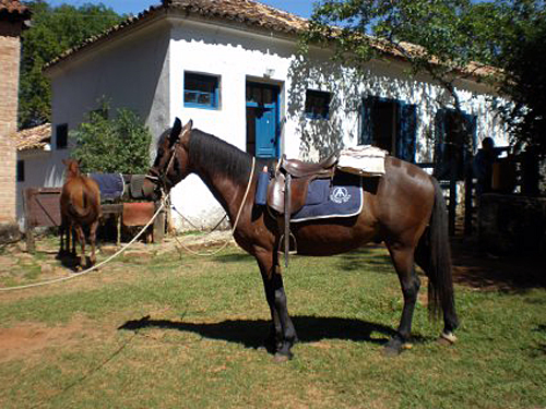 Balade des Fazendas du café