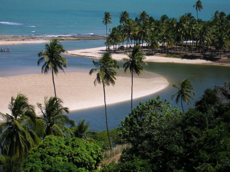 Coconut Trail