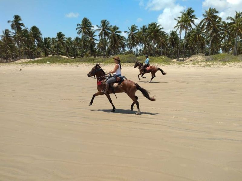 Coconut Trail