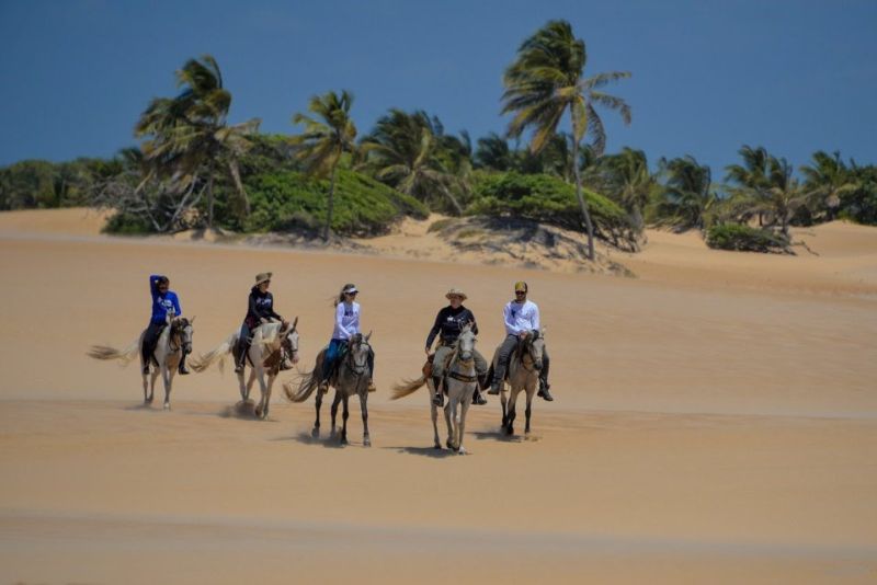 Coconut Trail
