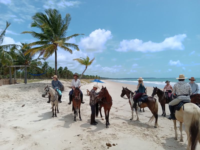 Coconut Trail