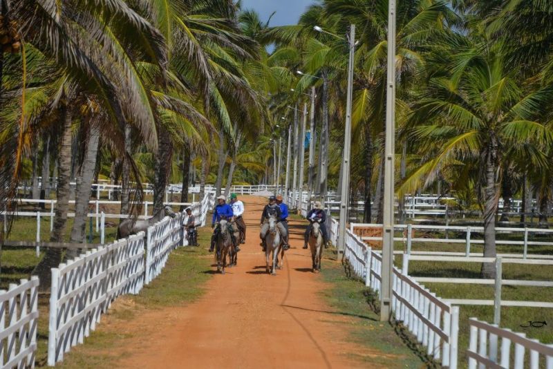 Coconut Trail