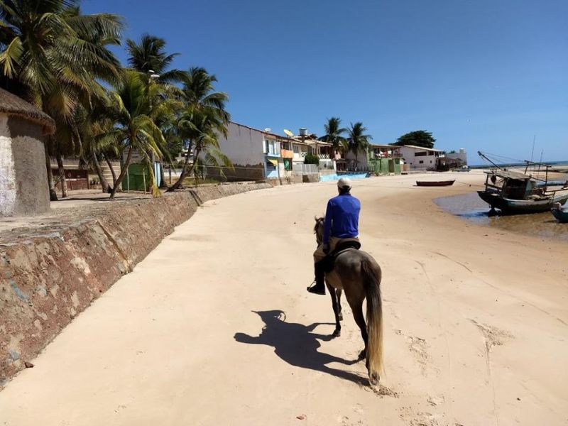 Coconut Trail