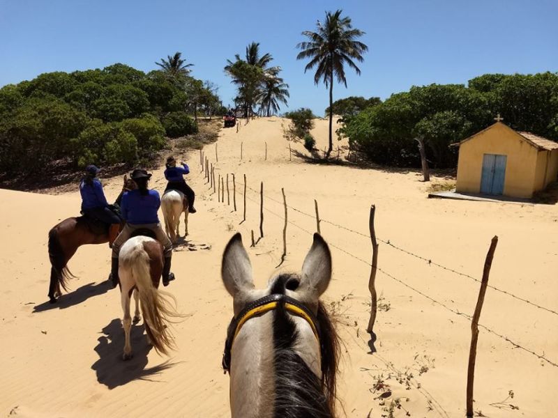 Coconut Trail