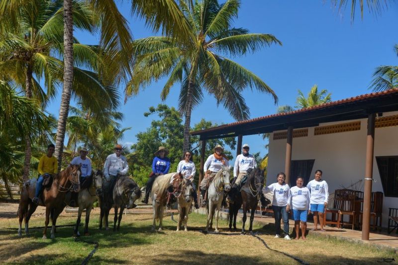 Coconut Trail
