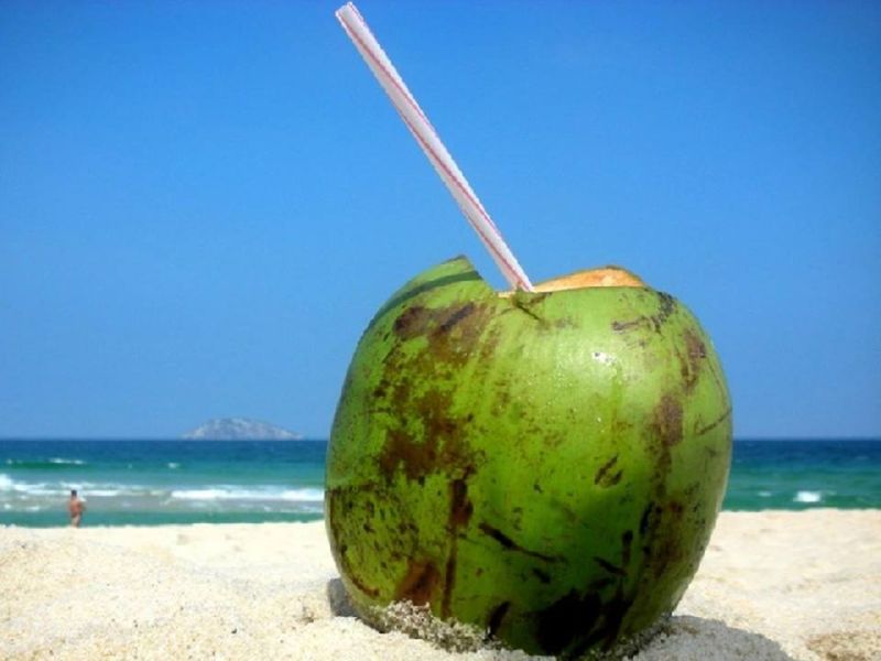 Coconut Trail