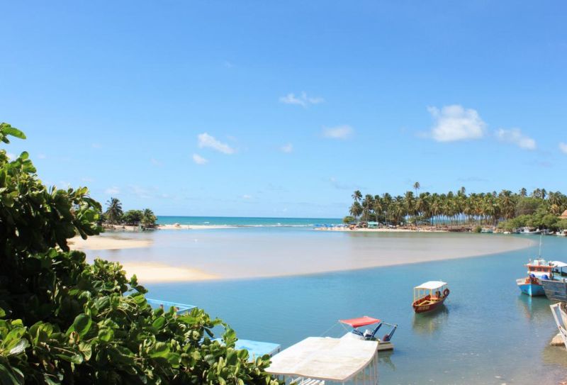 Coconut Trail
