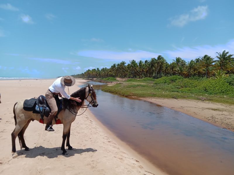 Coconut Trail