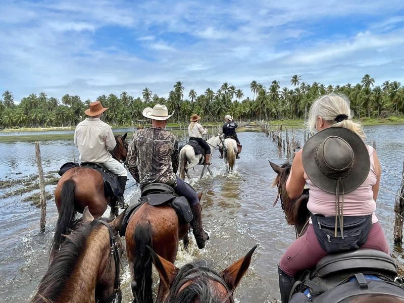 Coconut Trail