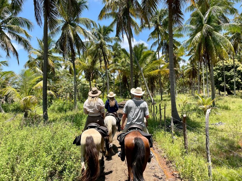 Coconut Trail