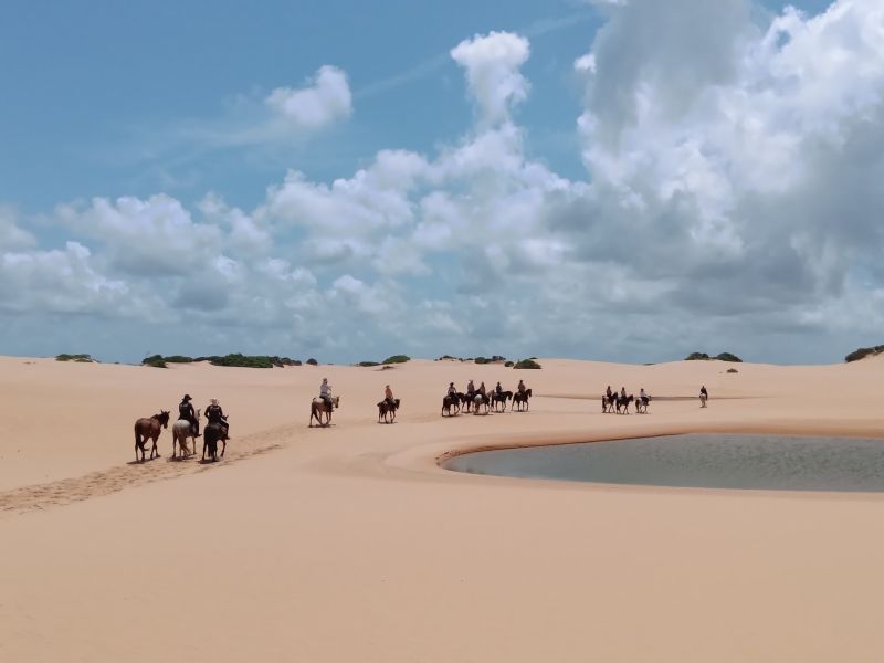 Coconut Trail