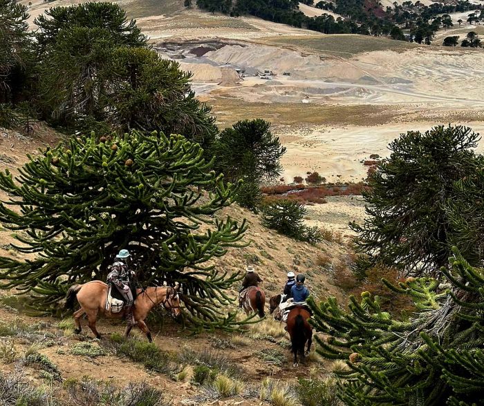 Travers&eacute;e des Andes dans la r&eacute;gion des lacs