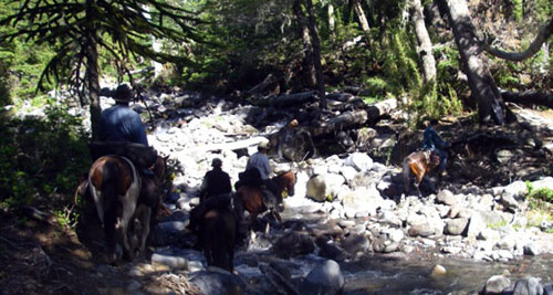 Traversée des Andes dans la région des lacs