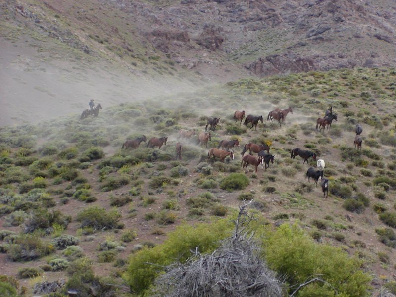 Randonnée de l'indépendance à travers les Andes