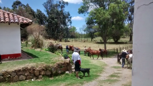 Randonnée des Haciendas