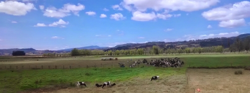 Randonnée des Haciendas