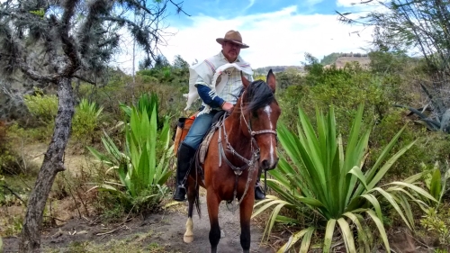 Randonnée des Haciendas