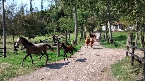 Randonnée des Haciendas