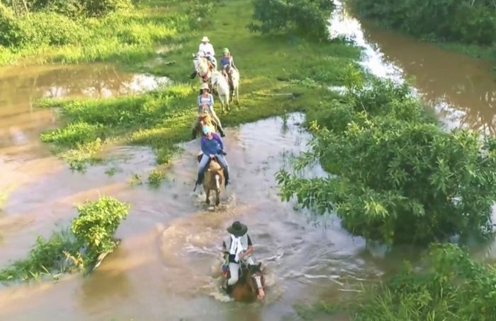 Orinoco Safari à cheval