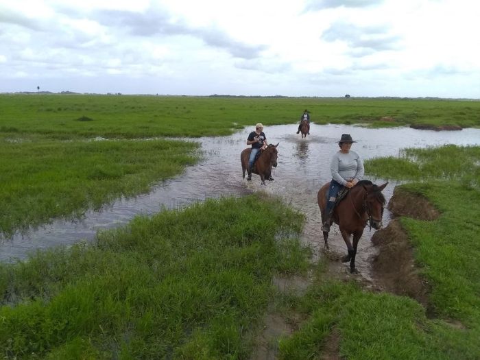 Orinoco Safari à cheval