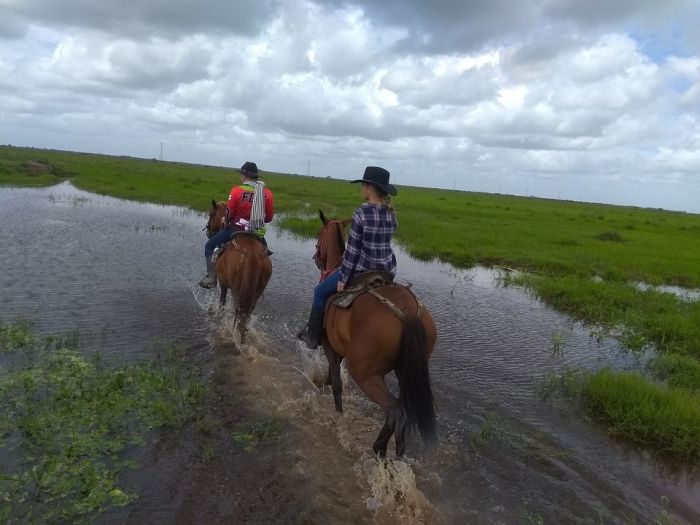 Orinoco Safari à cheval