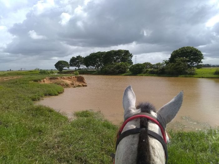Orinoco Safari à cheval