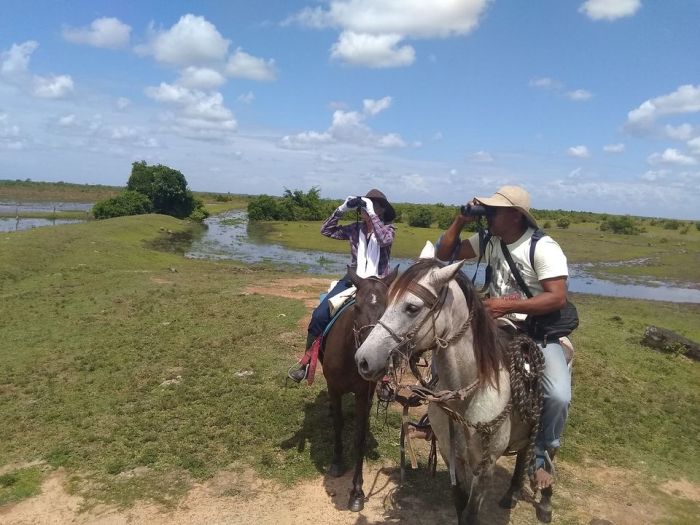 Orinoco Safari à cheval