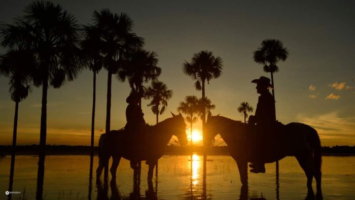 Orinoco Safari à cheval