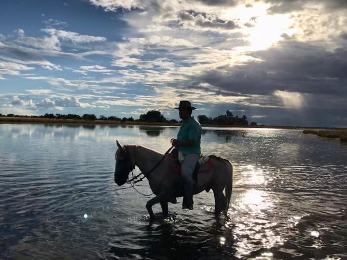 Orinoco Safari à cheval