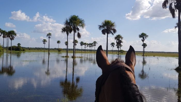 Orinoco Safari à cheval