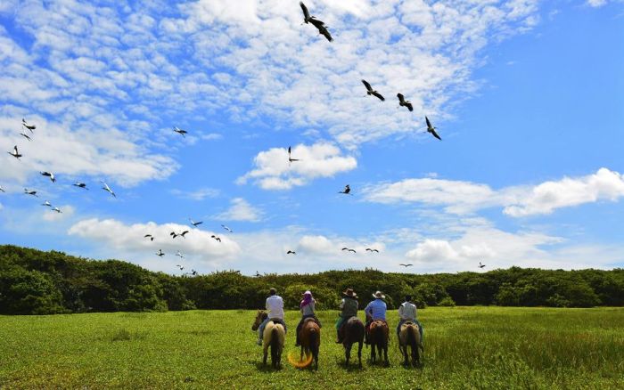 Orinoco Safari à cheval