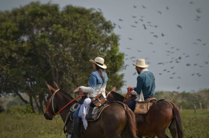 Orinoco Safari à cheval