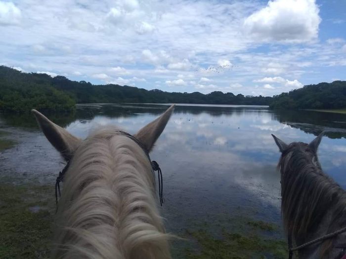 Orinoco Safari à cheval