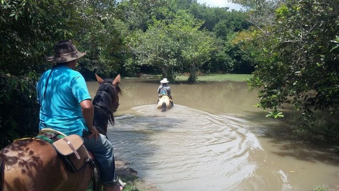 Orinoco Safari à cheval