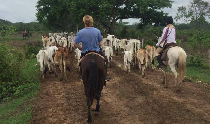 Orinoco Safari à cheval
