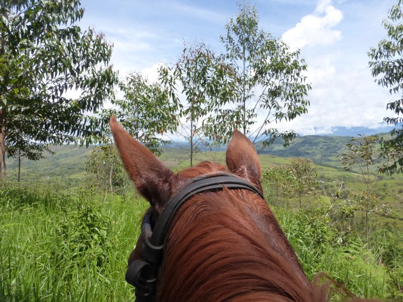 Aventure à cheval Andes colombiennes