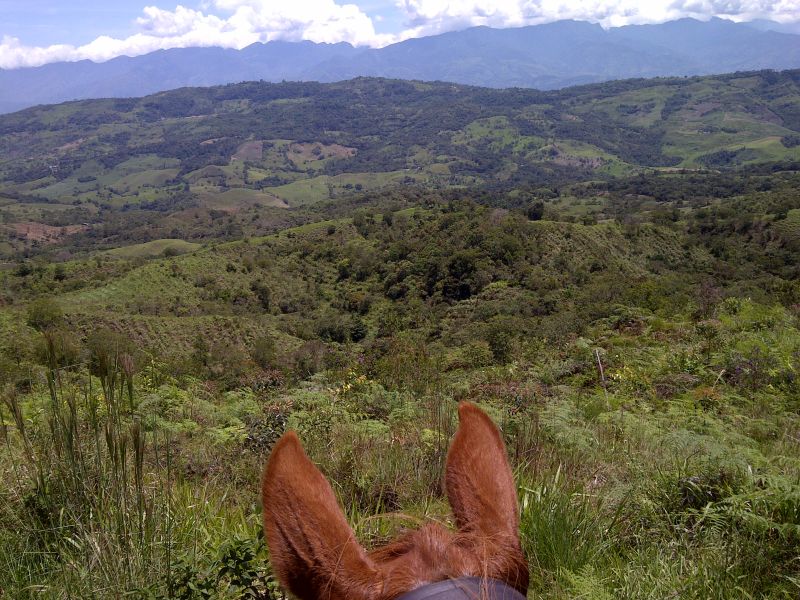 Aventure à cheval Andes colombiennes
