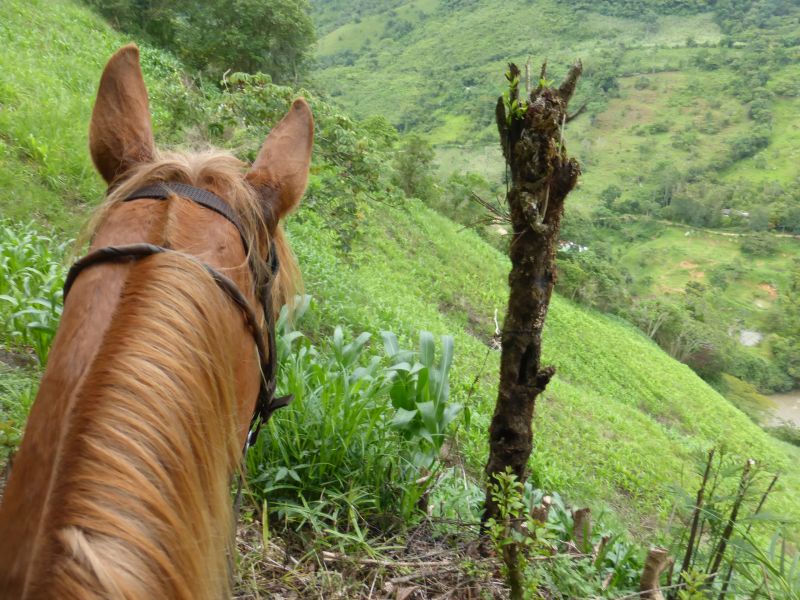 Aventure à cheval Andes colombiennes