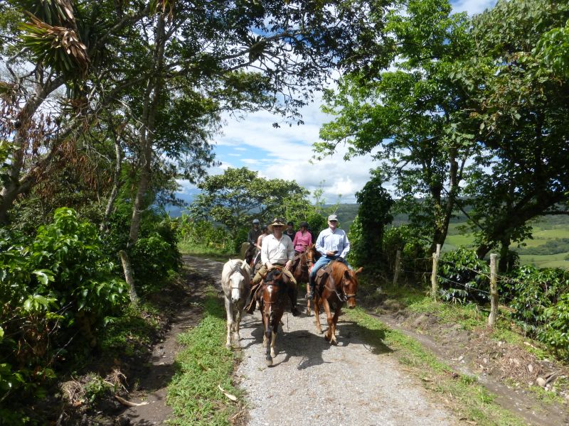 Aventure à cheval Andes colombiennes