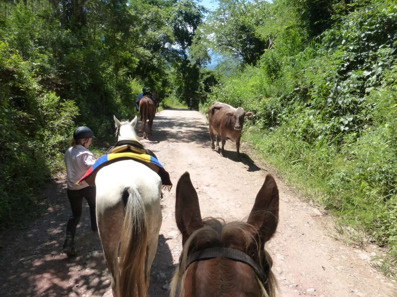 Aventure à cheval Andes colombiennes