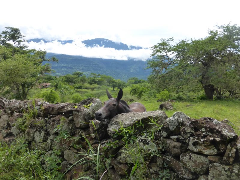 Aventure à cheval Andes colombiennes