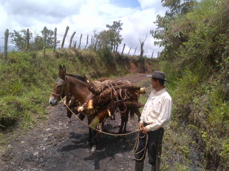 Aventure à cheval Andes colombiennes