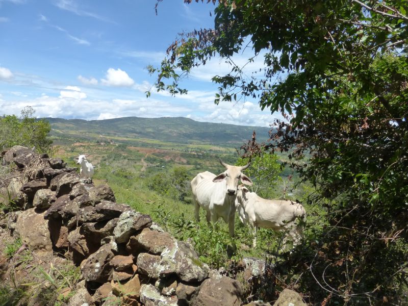 Aventure à cheval Andes colombiennes