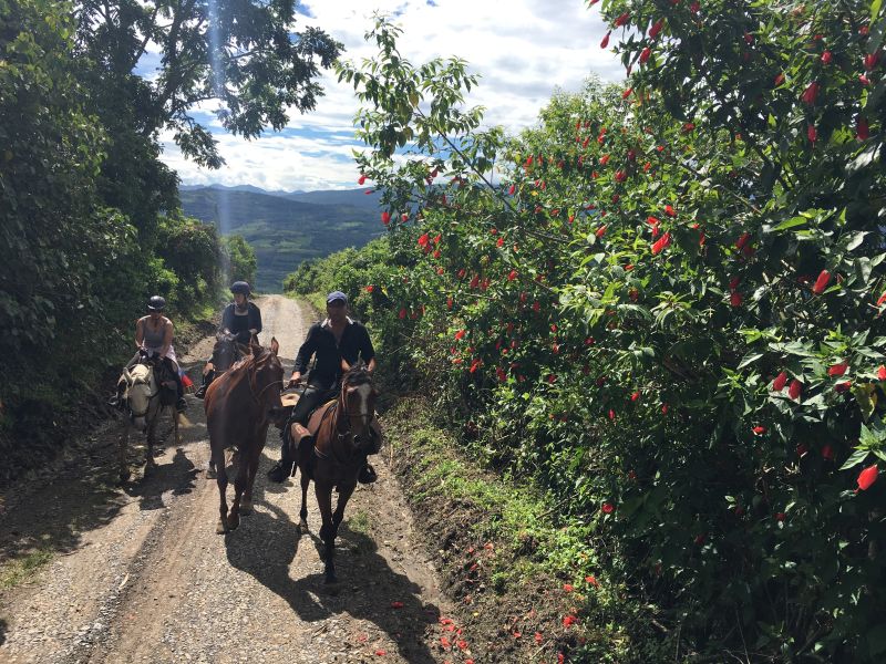 Aventure à cheval Andes colombiennes